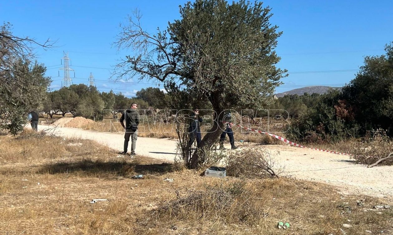 Μαρκόπουλο: «Είδα να πυροβολούν την οικογένεια μου - Υπάρχει βεντέτα με τους συμπέθερους»