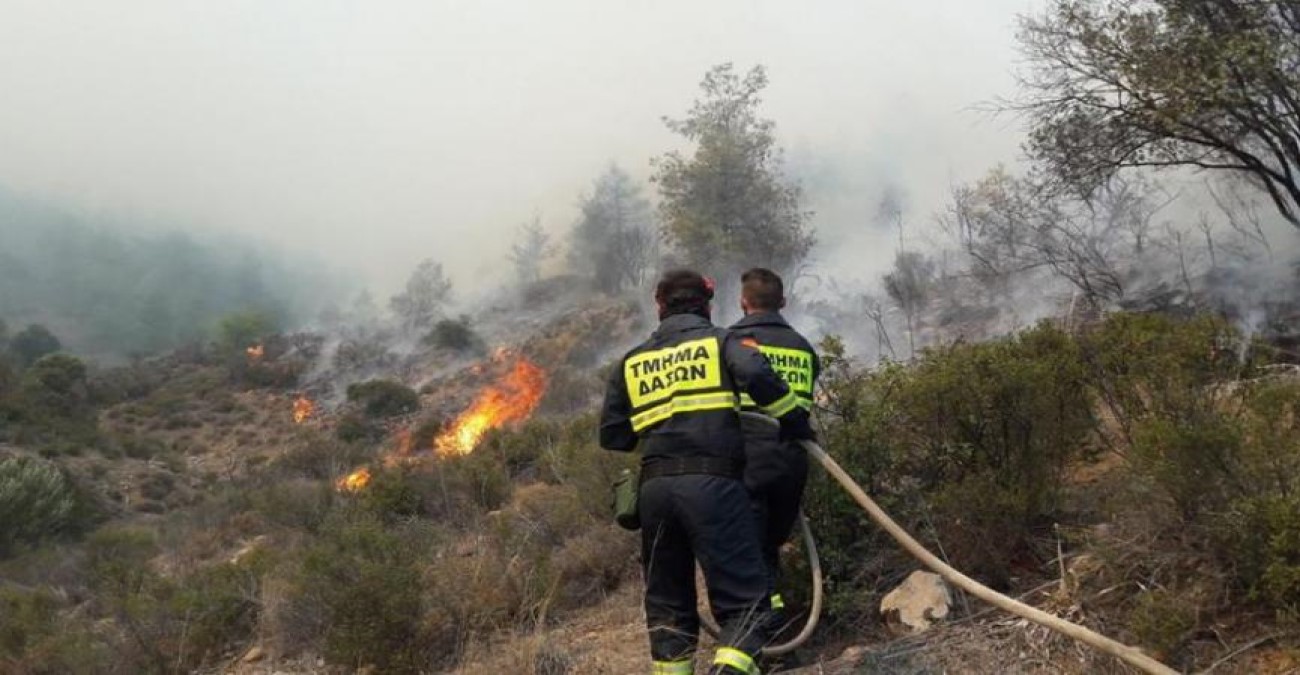 Υπό πλήρη έλεγχο δασική πυρκαγιά στην Ίνεια