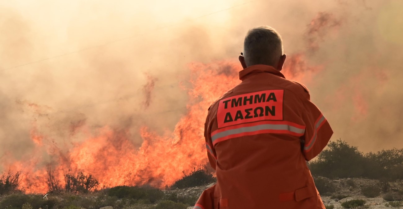 Βήμα για μείωση πυρκαγιών το υπόγειο καλώδιο στο Δάσος Πάφου, λέει η Υπ. Γεωργίας