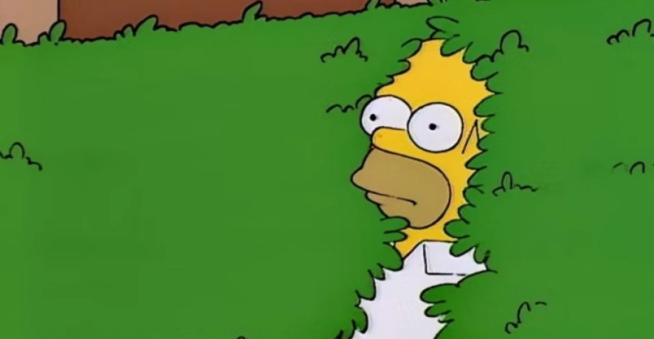 Όλοι το έχουν δει αλλά κανείς δεν θυμάται το επεισόδιο - Η ιστορία πίσω από το πιο viral meme των Simpson